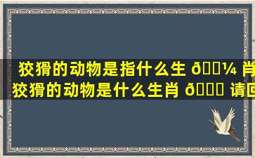 狡猾的动物是指什么生 🌼 肖,狡猾的动物是什么生肖 🐝 请回答一个
